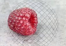 Fruit1web